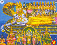 paddu